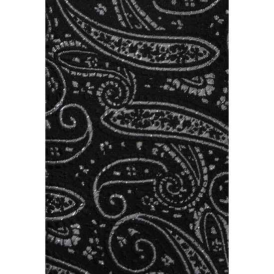 Limehaus Glitz Paisley Tie For Male 2 Limehaus Glitz Paisley Tie For Male - Image 2