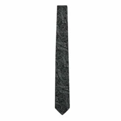 Limehaus Glitz Paisley Tie For Male 5 Limehaus Glitz Paisley Tie For Male -Cheap Limehaus Store unnamed file 173