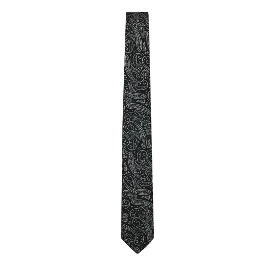 Limehaus Glitz Paisley Tie For Male 3 Limehaus Glitz Paisley Tie For Male - Image 3